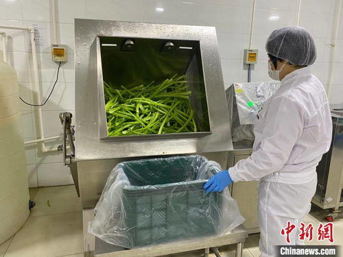 河北淶水土貨“統(tǒng)購統(tǒng)銷”進(jìn)京生金，清潔服務(wù)煥新鄉(xiāng)村經(jīng)濟(jì)